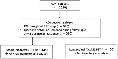 Distinctive Temporal Trajectories of Alzheimer’s Disease Biomarkers According to Sex and APOE Genotype: Importance of Striatal Amyloid